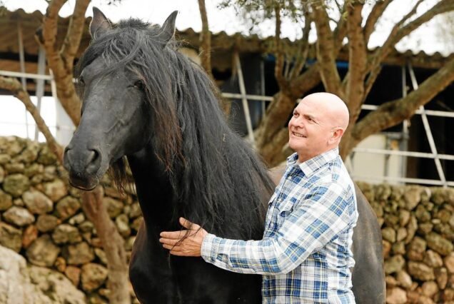 Il cavallo di razza Menorquina - Son Martorellet