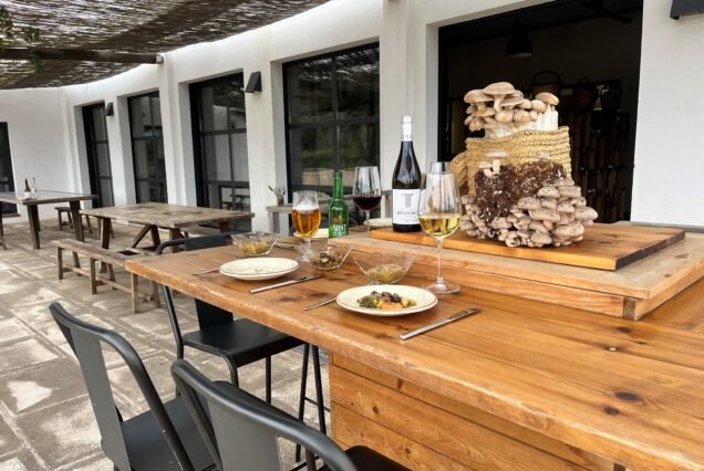 Bolets de Menorca visita y degustación exclusiva