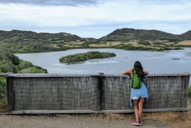 Ornithologie à s'Albufera des Grau