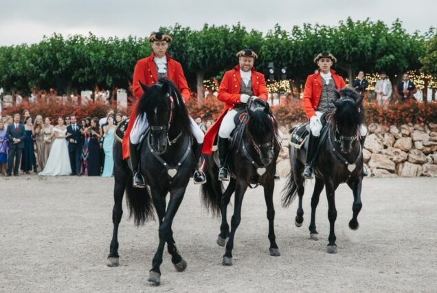Pferdeshow mit menorquinischen Pferden in Son Martorellet