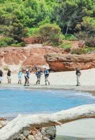 cat-deportivas-fin-5